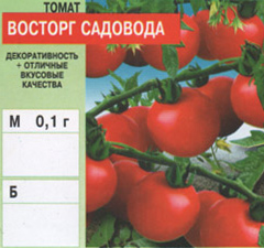 tomat/tomat_021.jpg