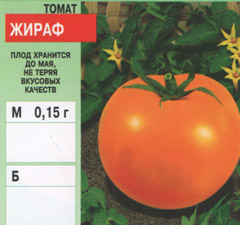 tomat/tomat_037.jpg