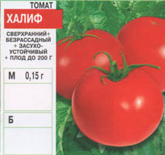 tomat/tomat_101.jpg