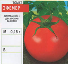 tomat/tomat_116.jpg