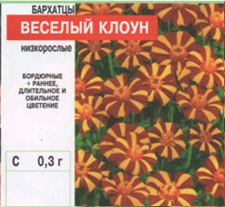 Бархатцы