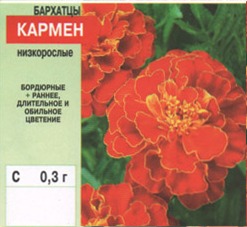 Бархатцы