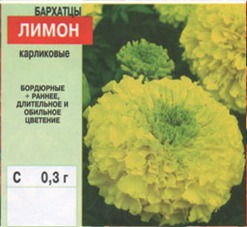 Бархатцы