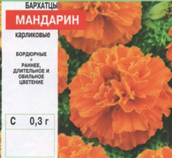 Бархатцы