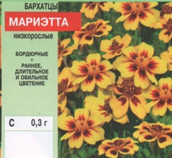 Бархатцы