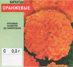Бархатцы