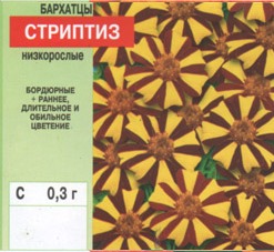 Бархатцы