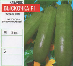 kabachok/kabachok_002.jpg