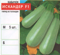 kabachok/kabachok_004.jpg