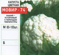 kapusta/kapusta_157.jpg