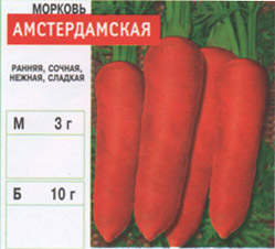 morkov/morkov_001.jpg