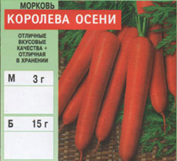 morkov/morkov_009.jpg