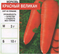 morkov/morkov_010.jpg